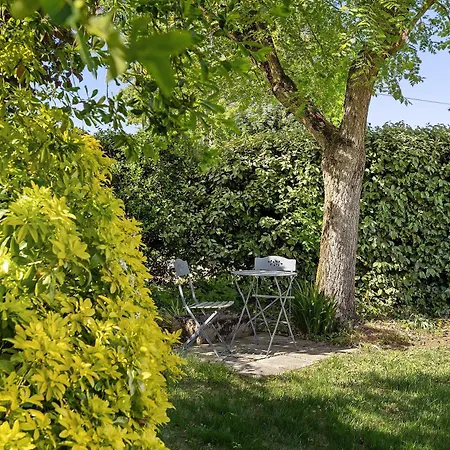 La Ferme Du Bellay - Cote Jardin * Montreuil-Bellay